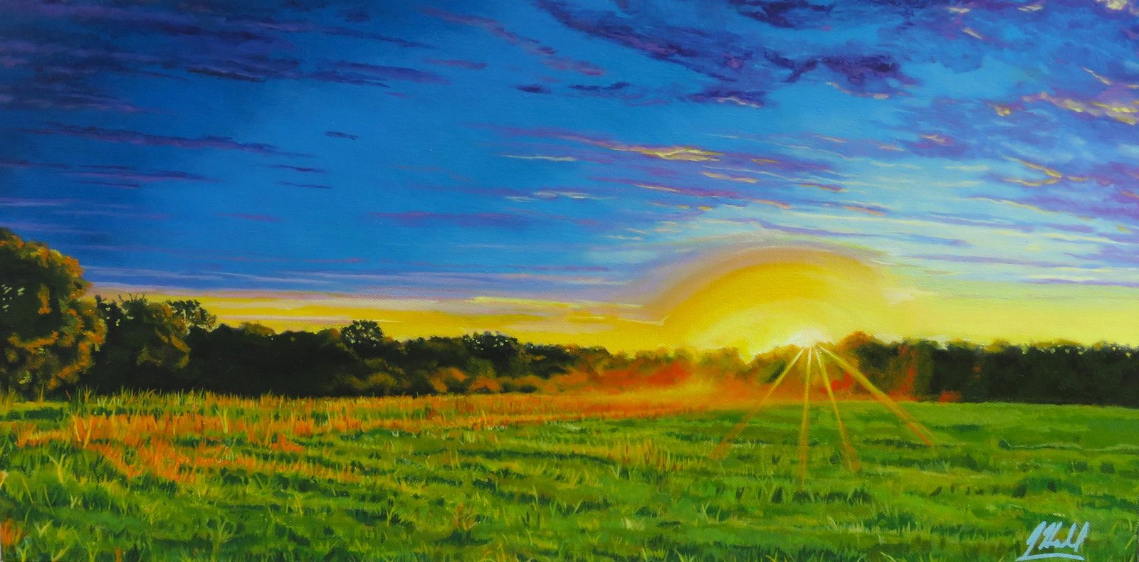 A vivid sunset blazing over a green field beneath a deep blue and violet sky