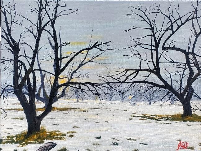 Bare gnarled fruit trees standing in thin snow under a pale winter sky at dawn
